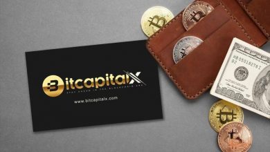 bitcapitalx:-pioneering-wealth-creation-with-vision-and-vigor