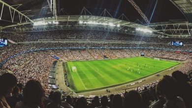 how-to-turn-your-sports-fandom-into-a-digital-asset-portfolio