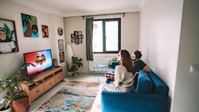 dez-tv-–-the-best-streaming-app-to-watch-bollywood-movies