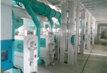 which-millet-processing-equipment-manufacturer-is-more-reliable?