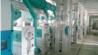 which-millet-processing-equipment-manufacturer-is-more-reliable?